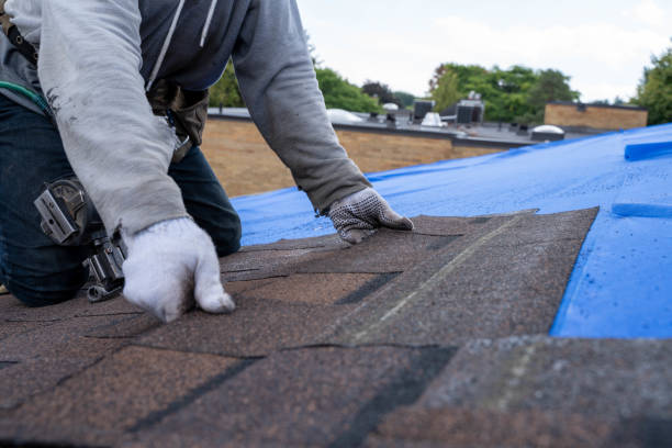 Best Roof Gutter Cleaning  in Hampden Sydney, VA
