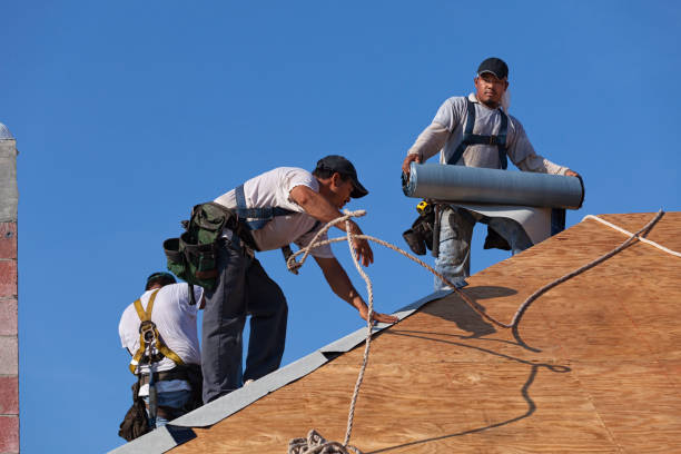 Best Affordable Roof Replacement  in Hampden Sydney, VA