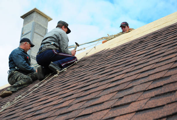 Best New Roof Installation  in Hampden Sydney, VA